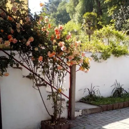 Cose Preziose * Azeglio